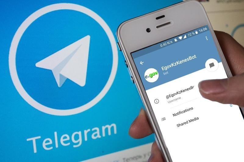 Инструкция как получить социальную выплату через Telegram-бот ...